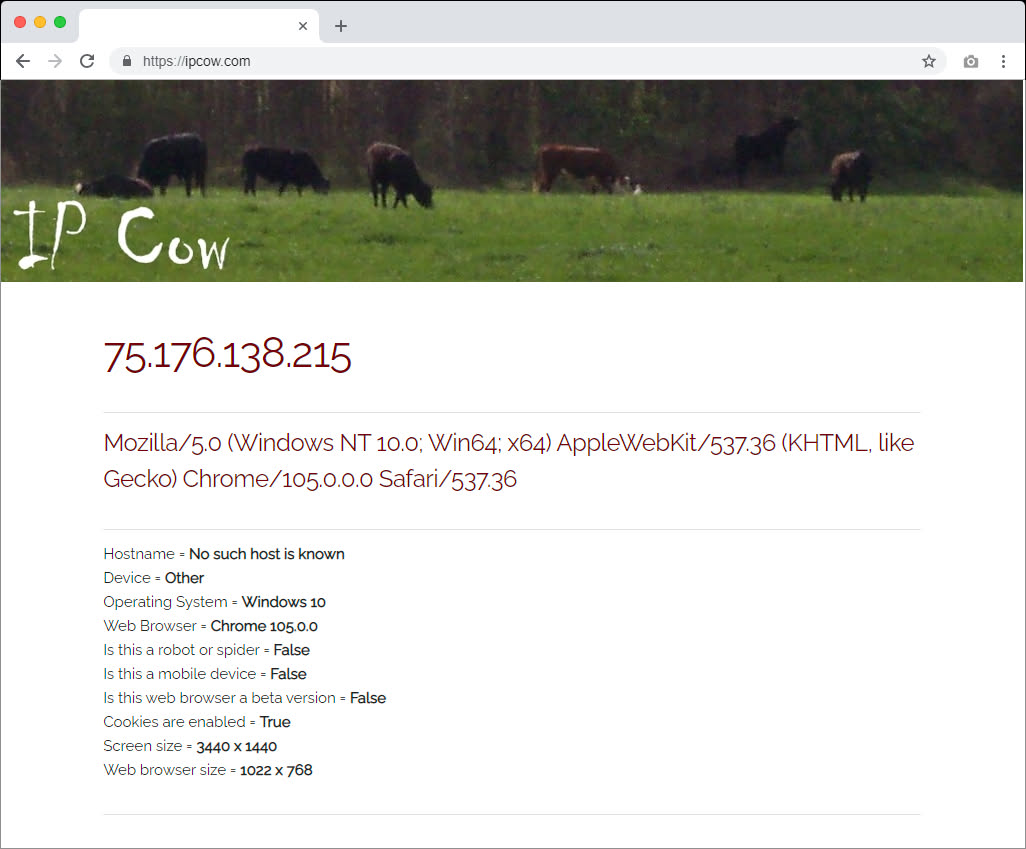 ipcow.com